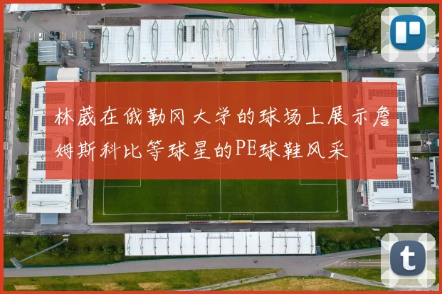 林葳在俄勒冈大学的球场上展示詹姆斯科比等球星的PE球鞋风采
